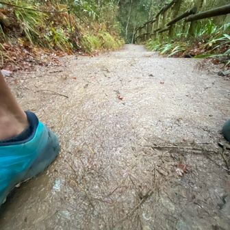 こんなの泥んこのうちに入らない