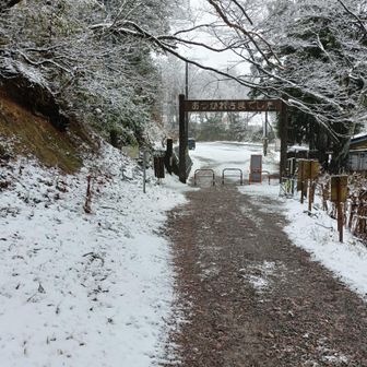 下山、このあとホテルにチェックイン