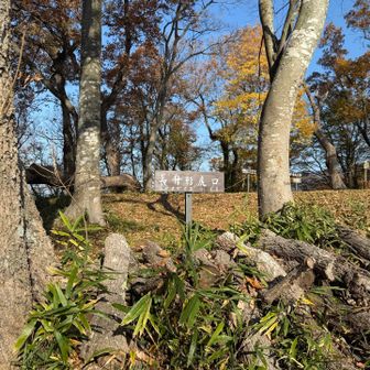 虎口もちゃんとある！えーすごい