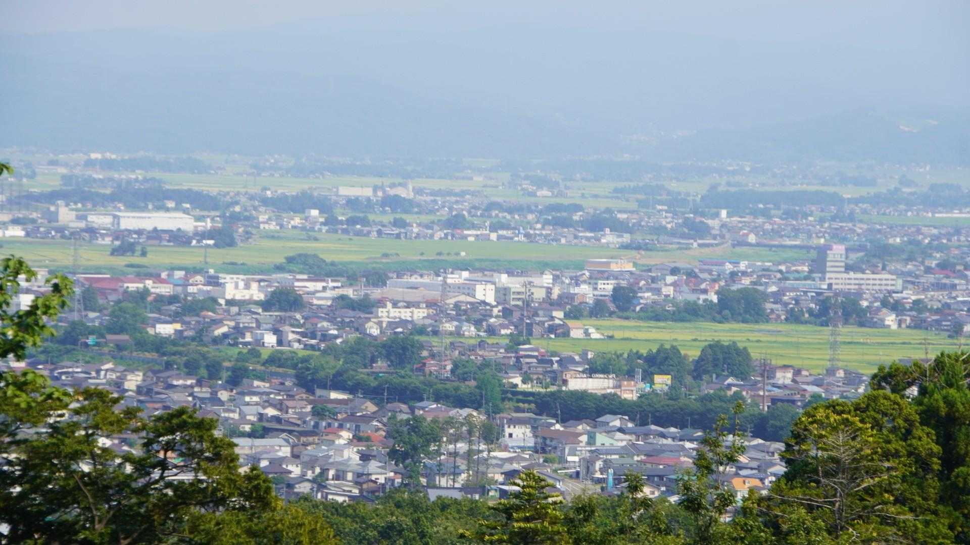 春日山 往復コースの写真
