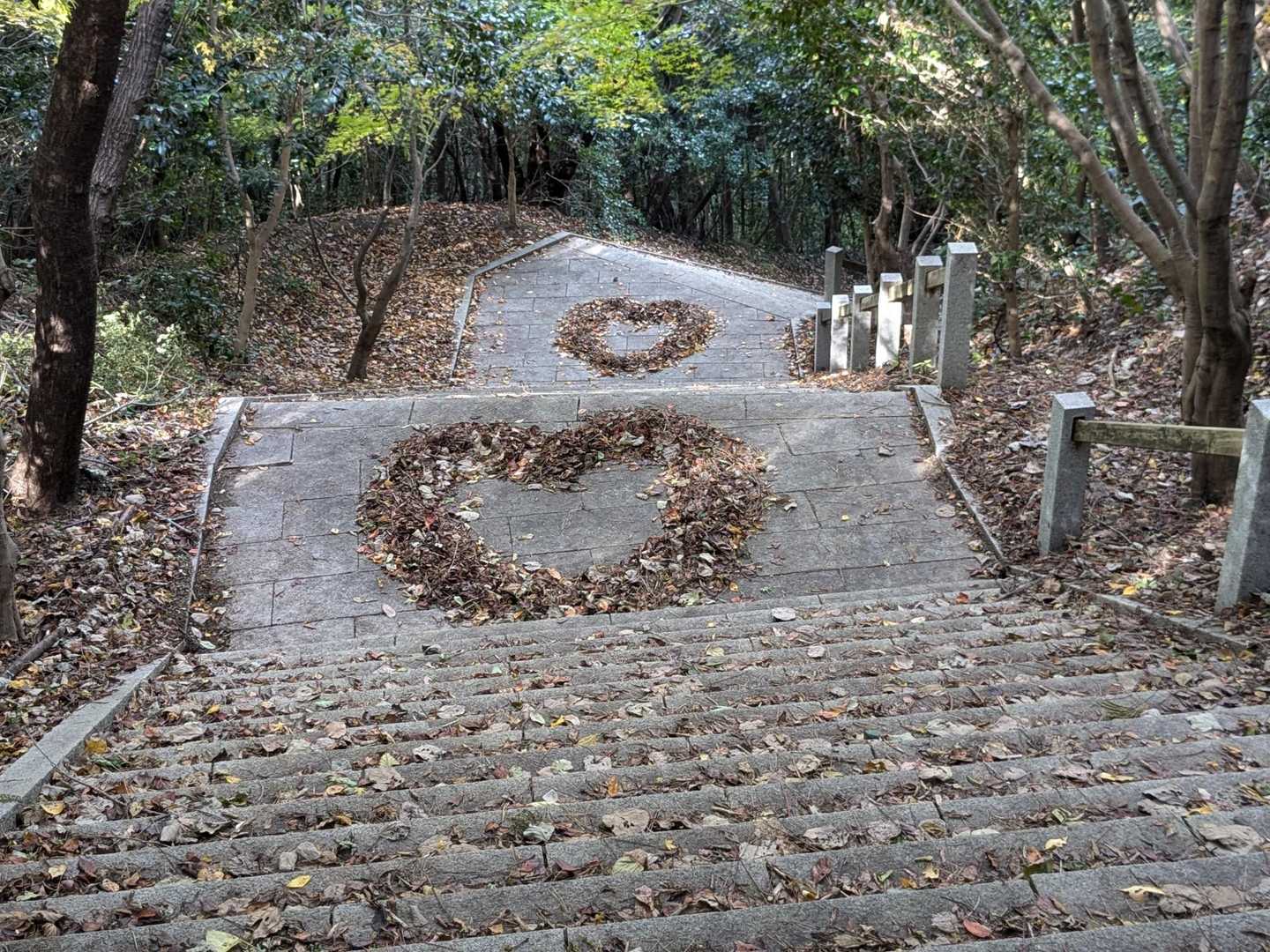 振り返ると…
いいじゃないですかぁ