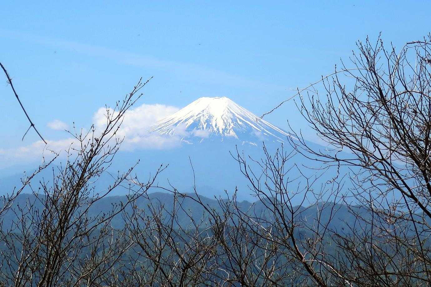山頂手前の富士見スポット。ソーヤノ丸デッコをスルーしてしまったので富士山はあきらめてたのですがよかった。