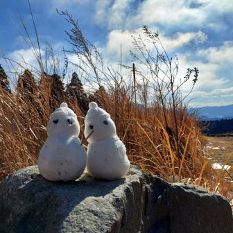 りーんりーんりーん