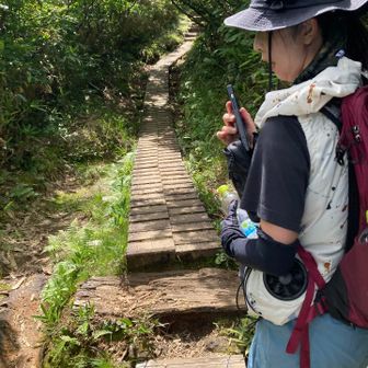 木道が出てきました。
この頃には、雲が出てきて、涼しくなりました。