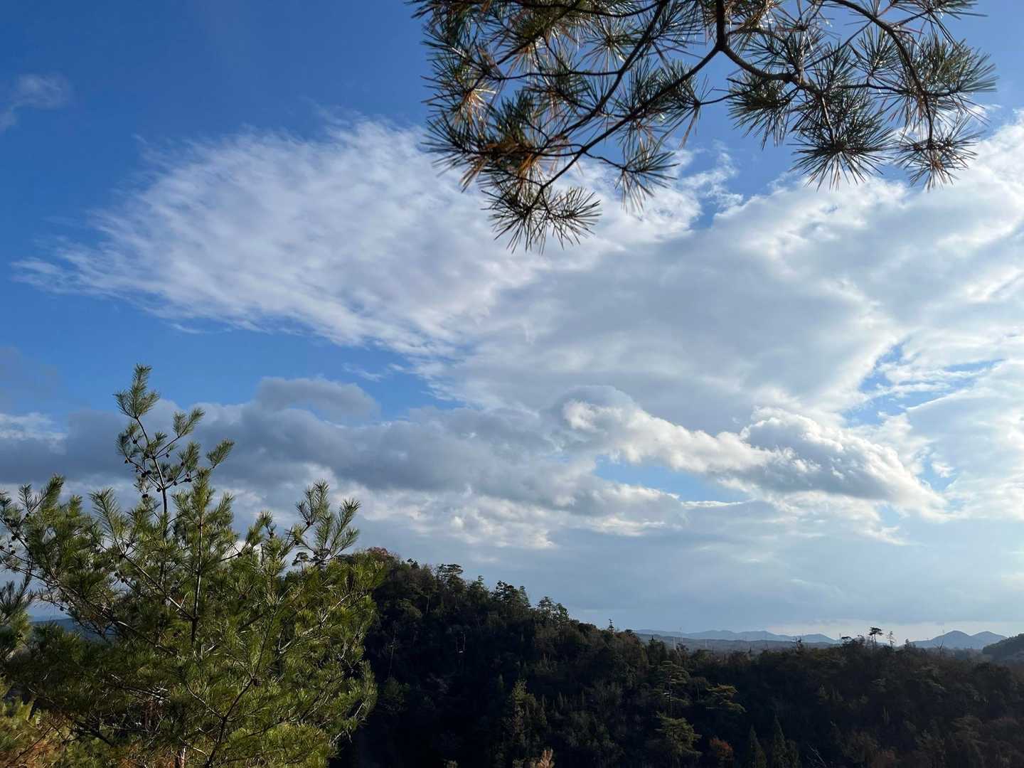 今年最後だね