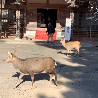 いっぱい🈵います
