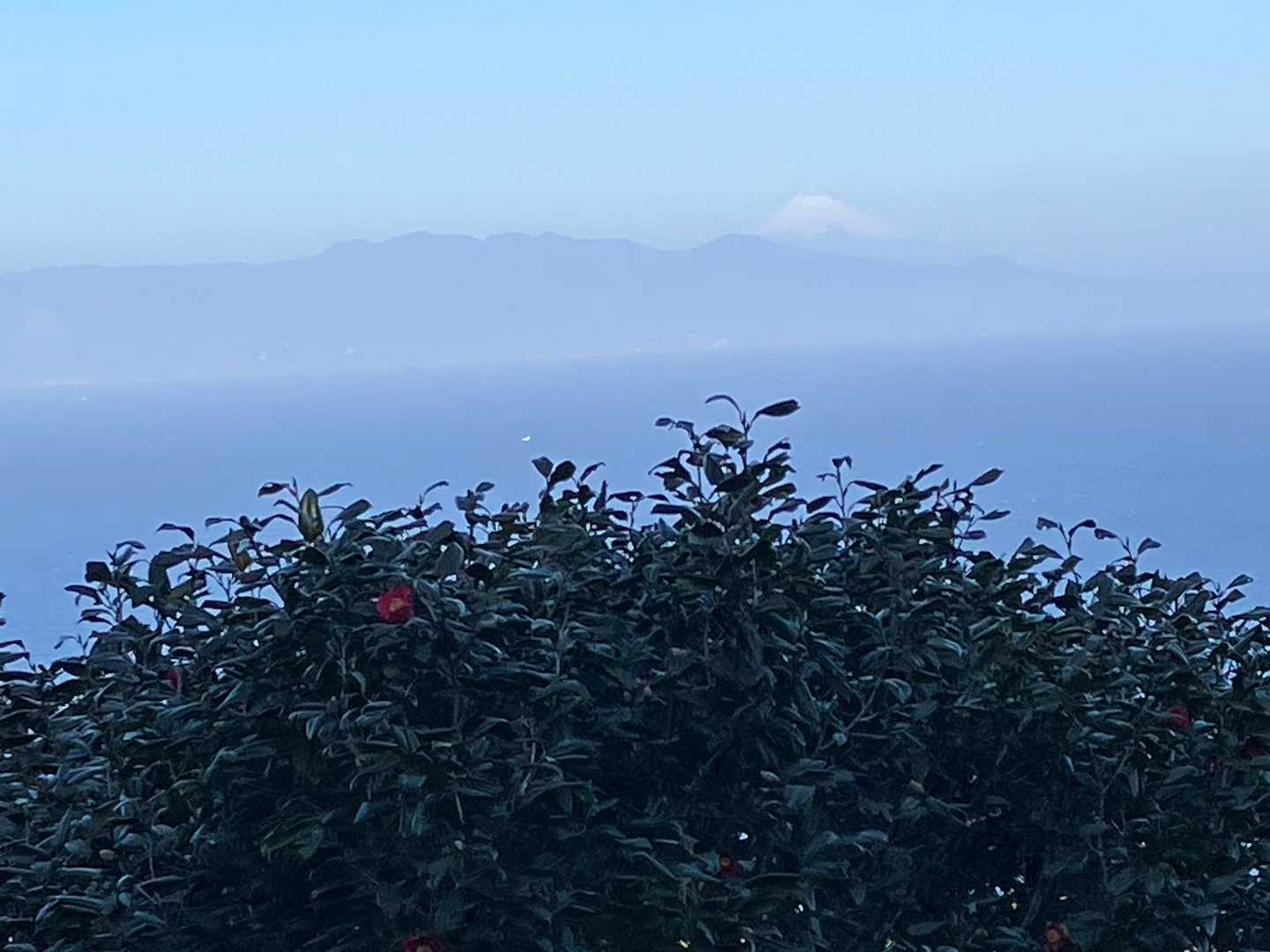 宮塚山 周回コースの写真