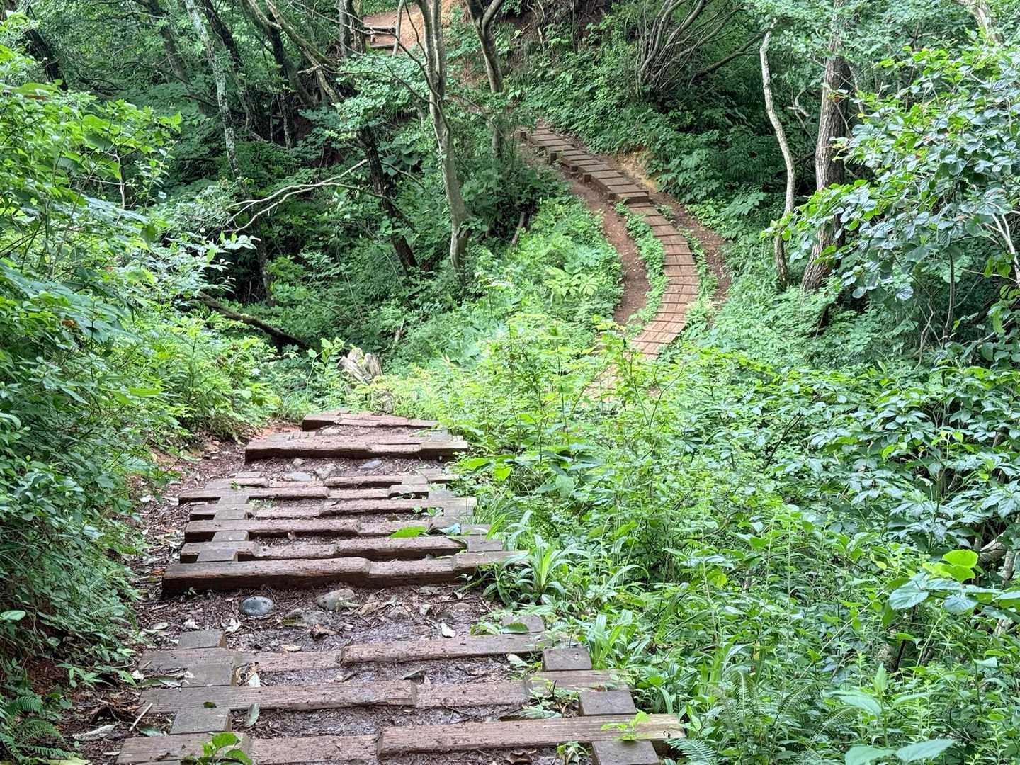 雨で濡れた上に泥も付いて滑りまくる
それにしても立派な木段👏