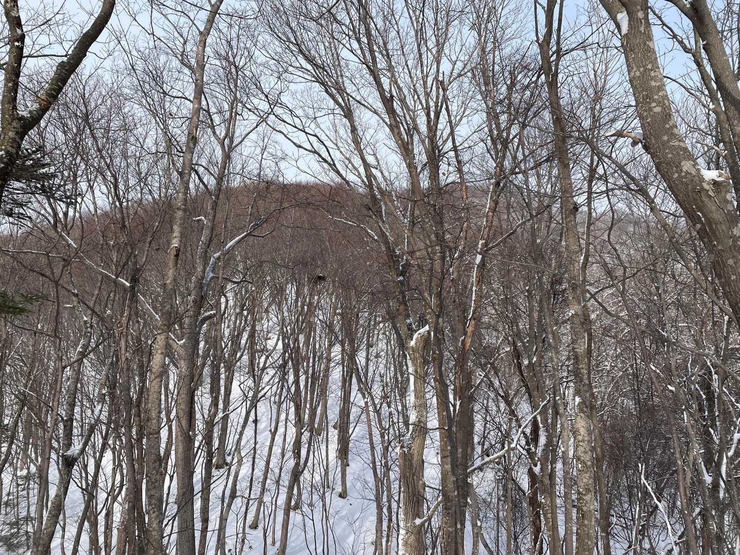 目指す山頂はあそこ