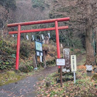 ではティラノサウルス描きに行ってきます