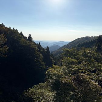 奥村茶屋からの眺望ですが残念ですがスカイツリーは曇で見えませんでした。