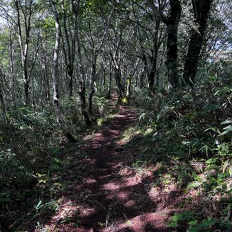 大明神岳に花子ちゃんと二人で行ってみました
やまみほさんは斑尾山山頂でお留守番😆