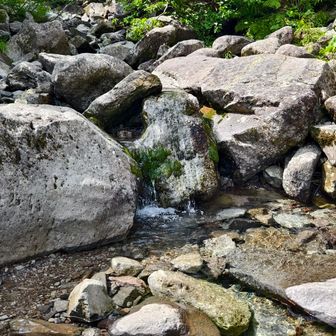 コマドリ沢は豊富に水が出ていた

（翌日、水量は半分程度になっていた）