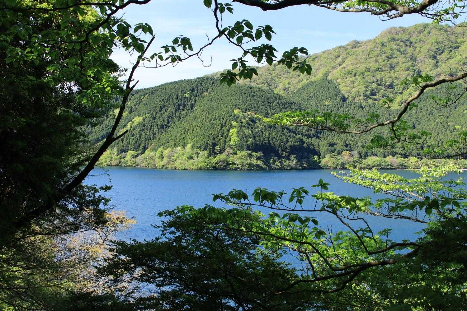 湖尻バス停-防ヶ沢登山口入口-防ヶ沢登山口-神山-箱根駒ヶ 往復コースの写真