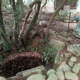 井戸のようなものがありました