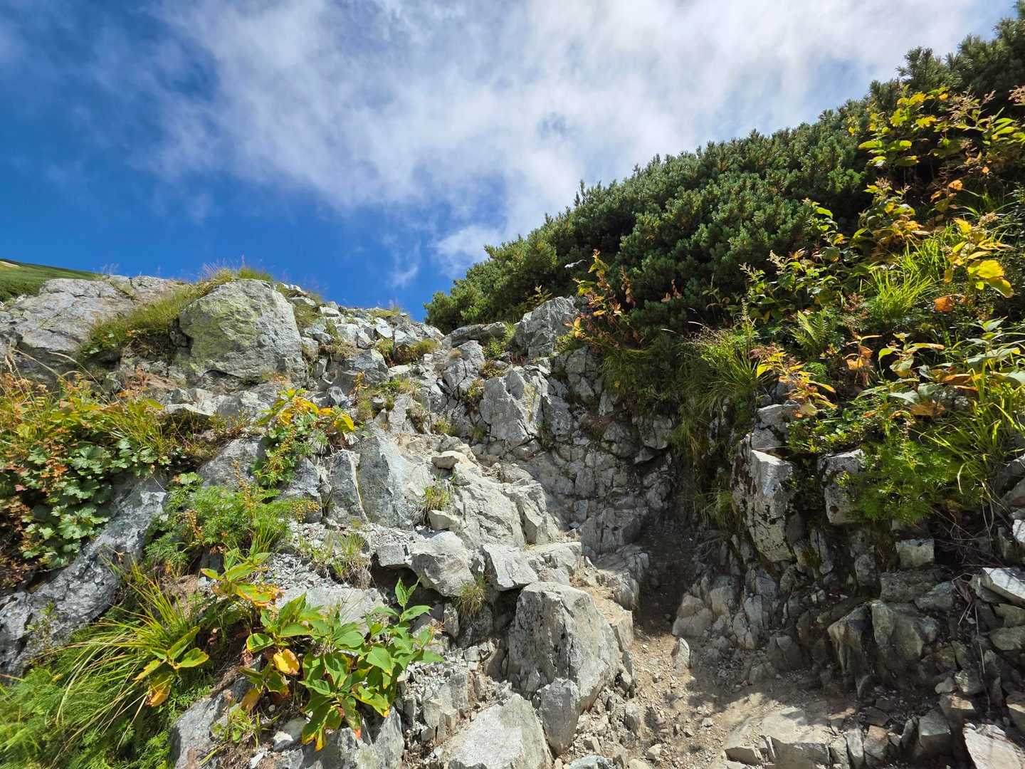 “高山病”という文字が頭に浮かんだ次の瞬間・・・“剱断念”という文字が浮かび💦
