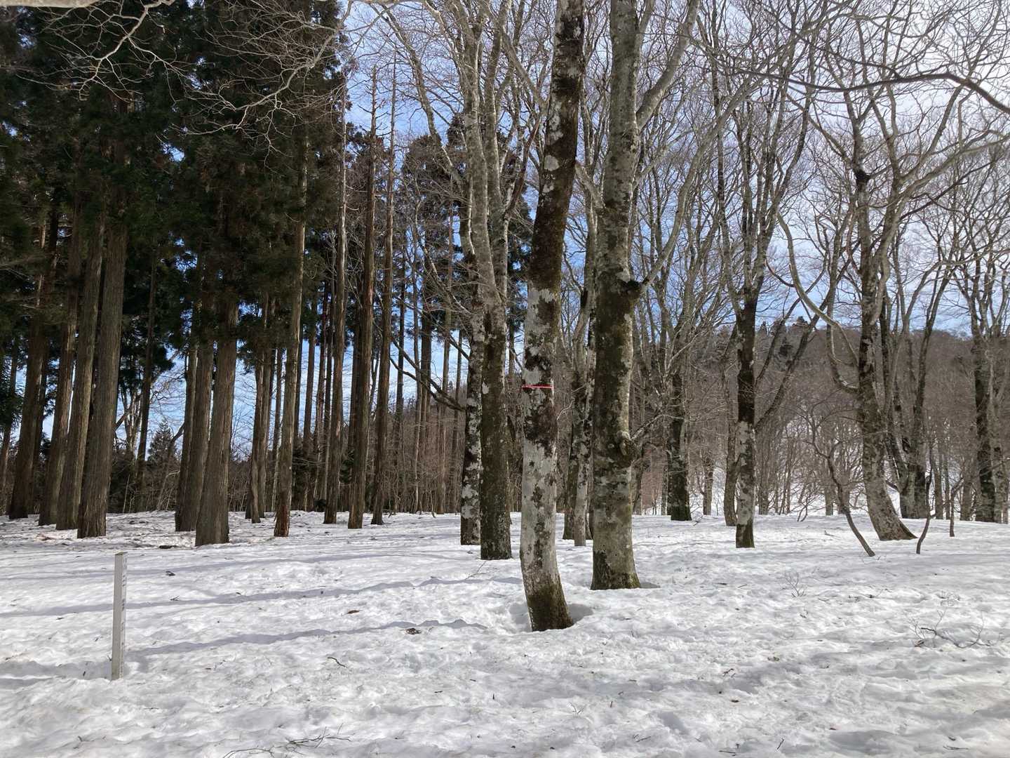 本当はこの先が眺望GOOD、行きたいけど今日はここまで😊