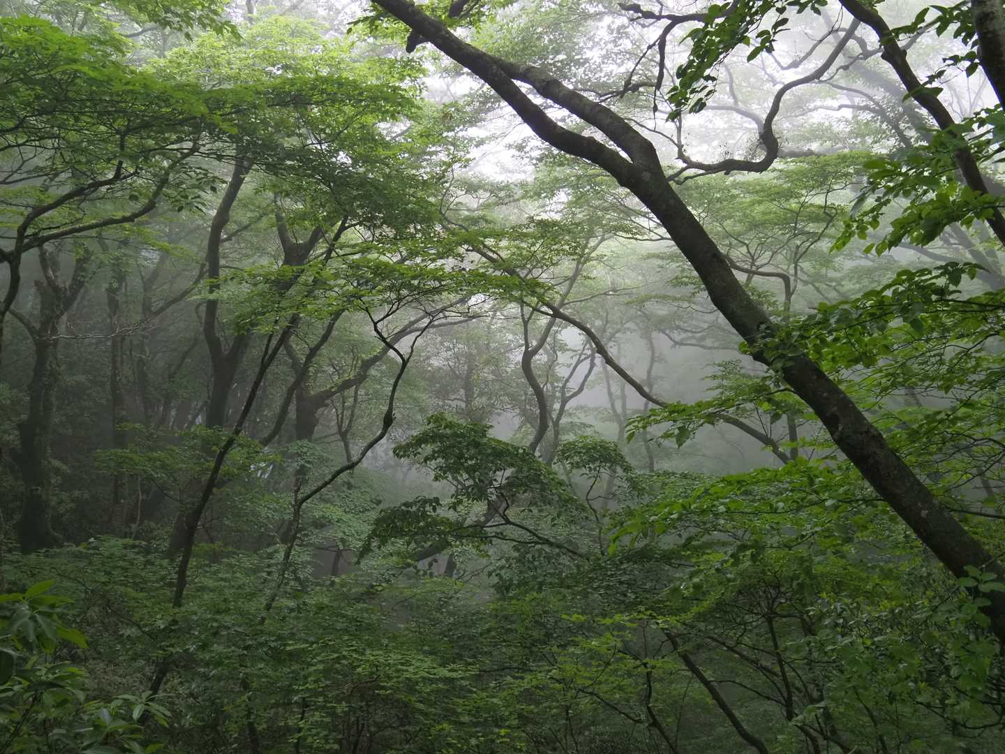 続きを急ぎます。　相変わらずのガス
