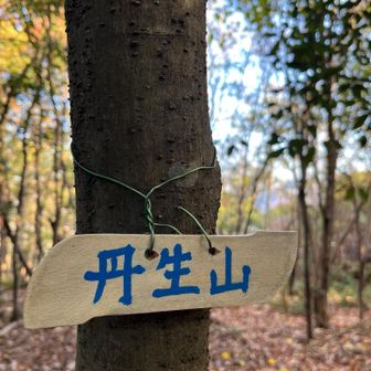 プレートありました