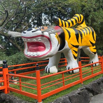 今日も頼みますよ🐯