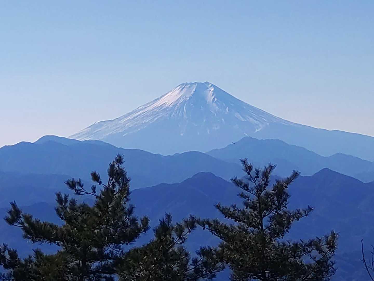 独標-入山峠-旧入山峠-栗ノ木沢ノ頭-独標-醍醐丸-連行峰 縦走コースの写真