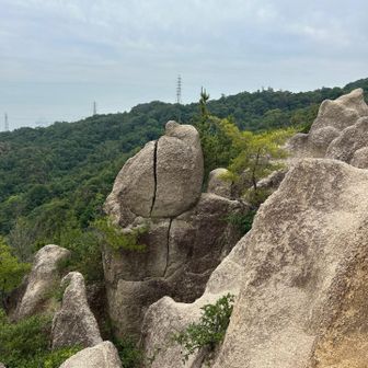 立てに割れてる岩