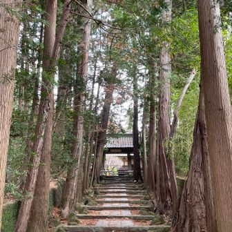 結構広いお寺です