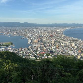 山頂より