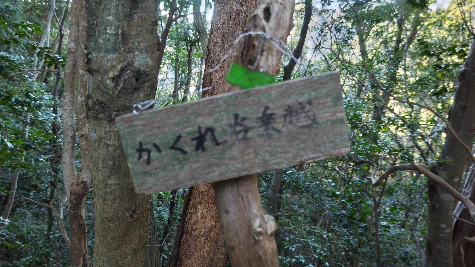 臼杵山登山口-鬼ヶ牙登山口-鬼ヶ牙本峰-長坂の頭-船石-ベ 周回コースの写真