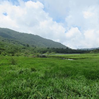 覚満淵沿いを通って戻ります。地蔵岳のアンテナもよく見えます。