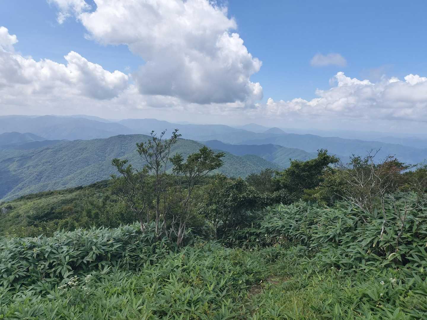 十種ヶ峰　青野山