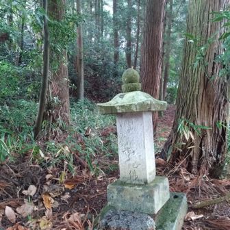 入口に南無阿弥陀仏🙏
広い杉落葉の道を歩くと同じ姓のたくさんの墓石
この辺りの一族の墓地？
山は私有地？