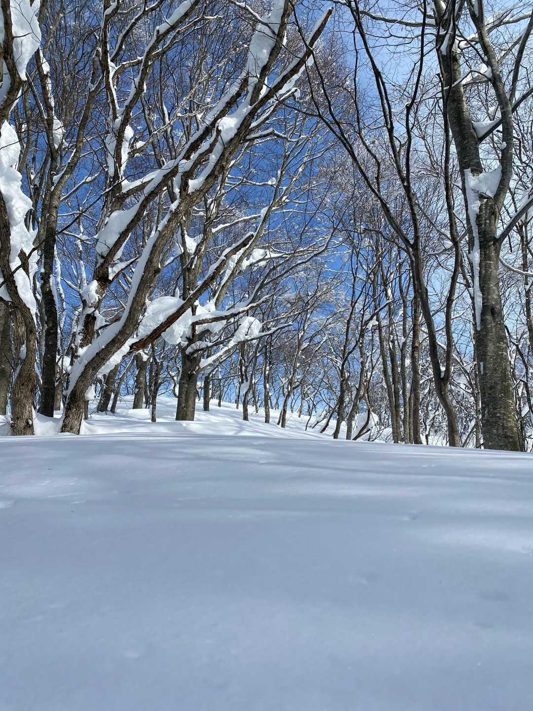 ちょっと景色見てきます
