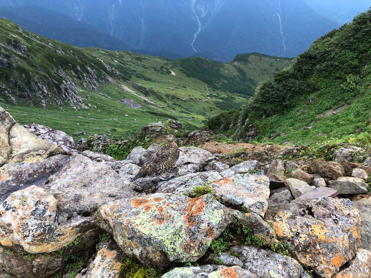 笠新道登山口-笠ヶ岳・双六岳・わさび平 登山道入口-新穂高 縦走コースの写真
