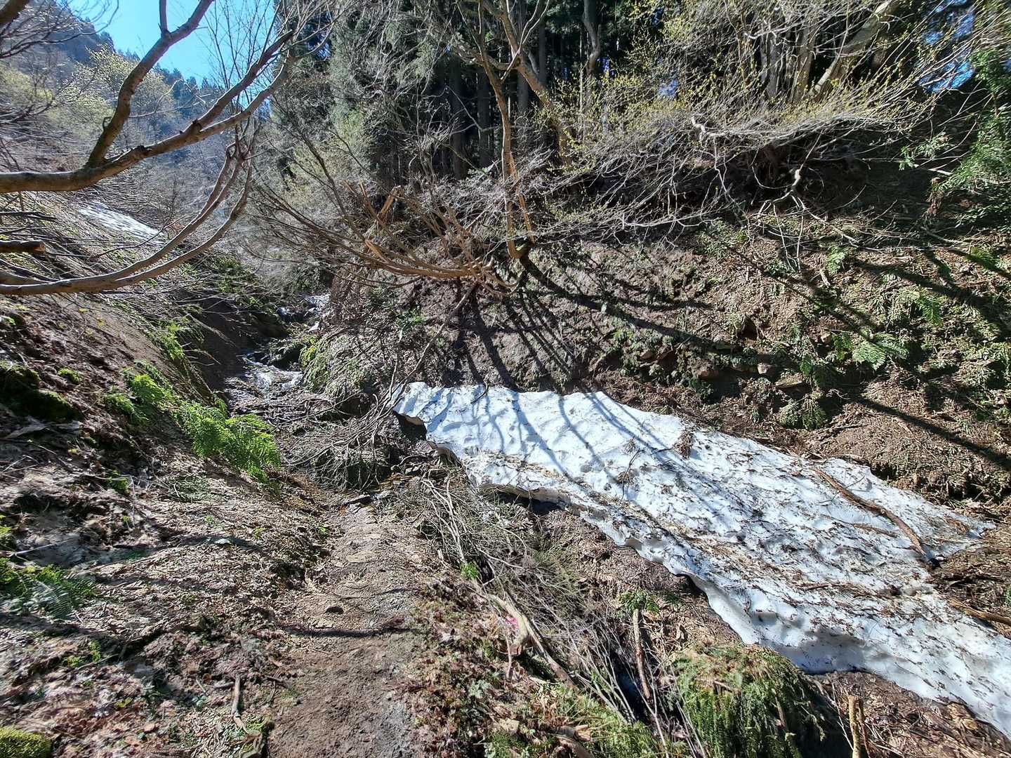 　分岐からすぐの沢徒渉箇所。1m少々の沢を飛び石をつたって横断。残雪の上の狭いトラバース路が滑り易いところ。