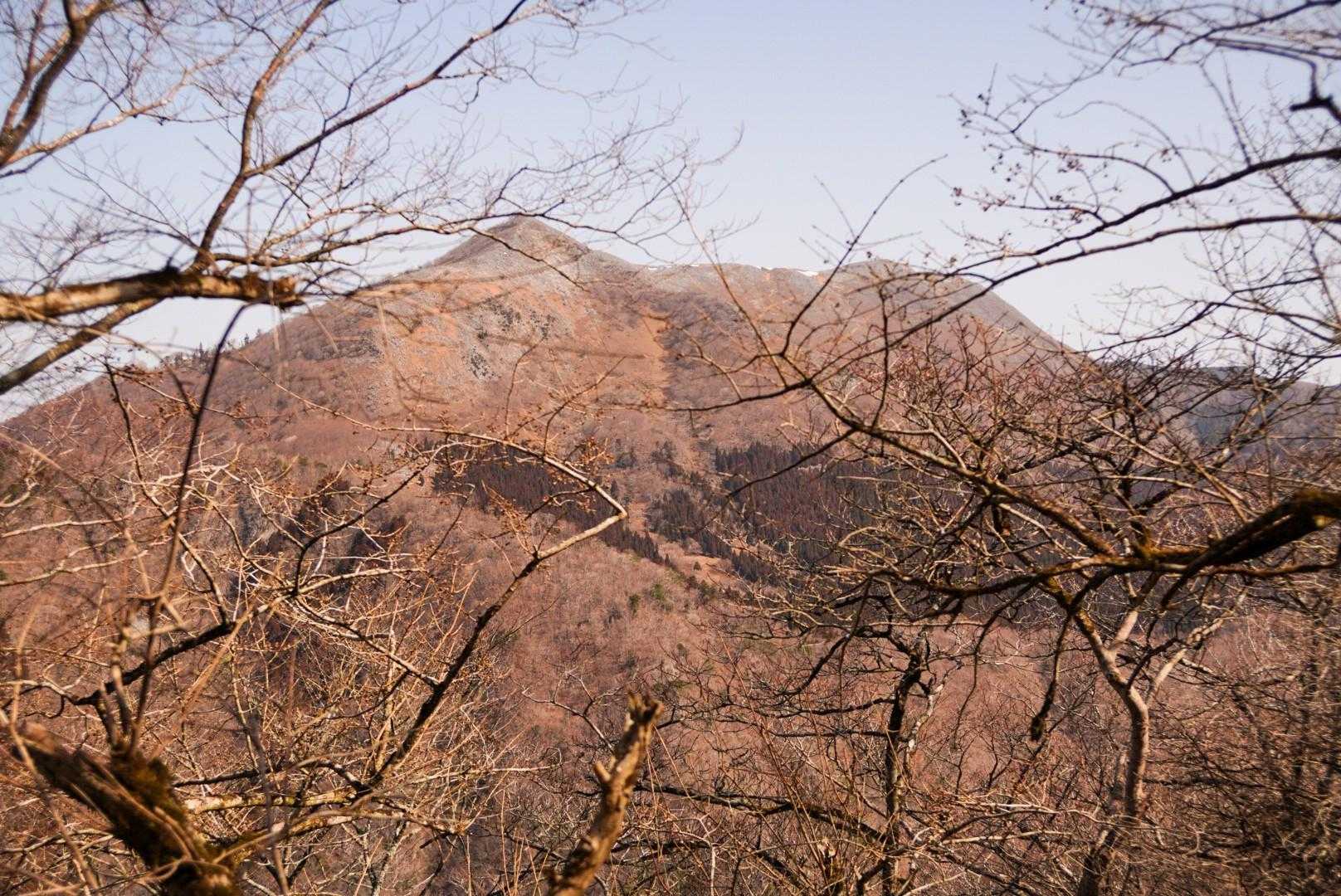 岳の畑-鍋尻山 往復コースの写真