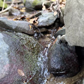 せせらぎ✨
を、2箇所ほど渡渉して😆