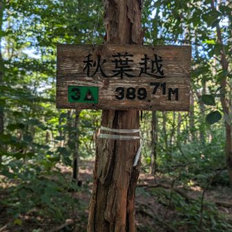 権現峠からここに抜けたルートは途中で消滅しておりバリルート歩きが嫌な方は避けた方が良いかも🤔
この山頂はパスするのも有りですね