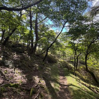 ますます気持ちの良い道