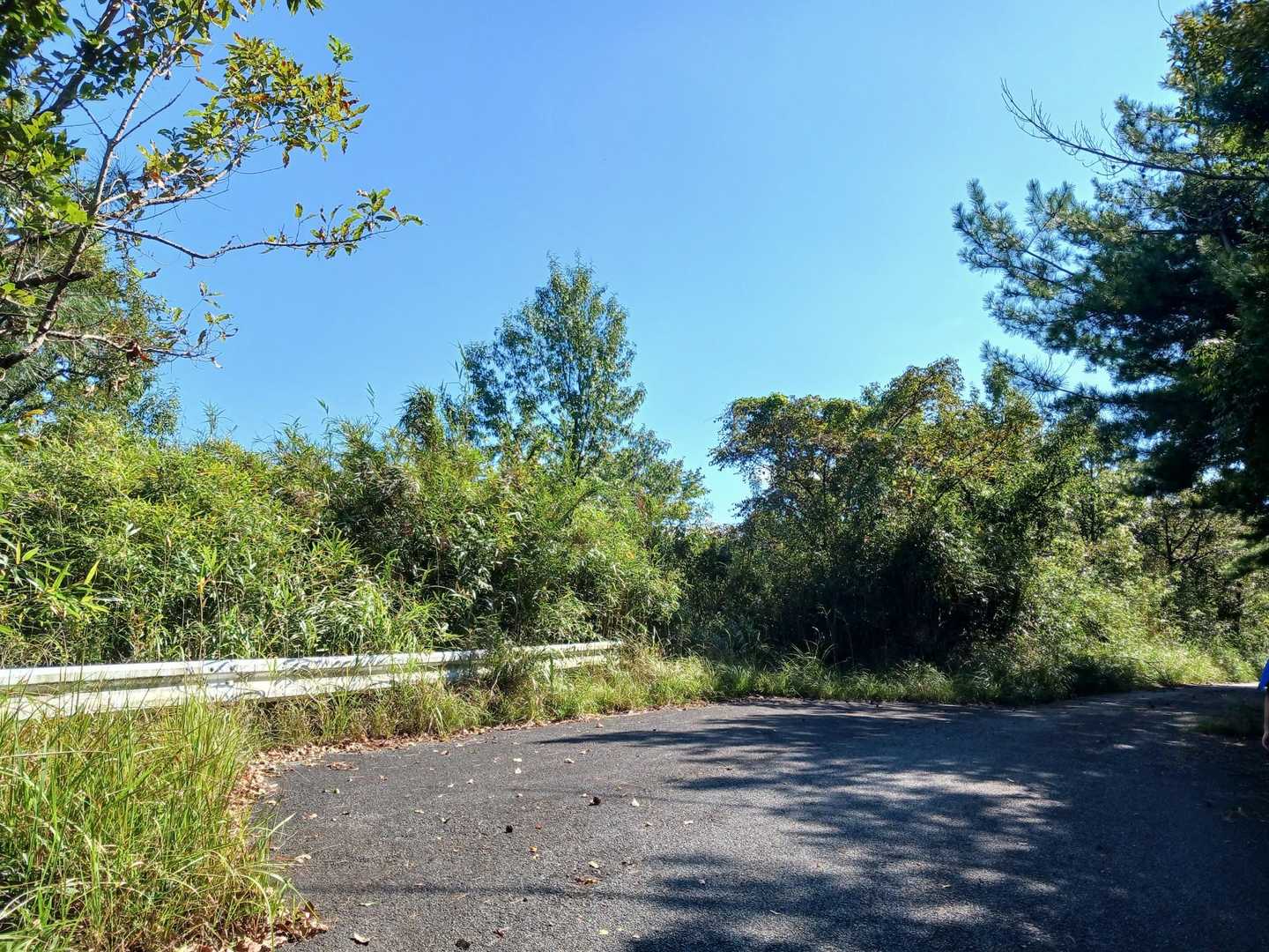 登山口先の路肩っぽいとこに前回は停めました♪(^^)
