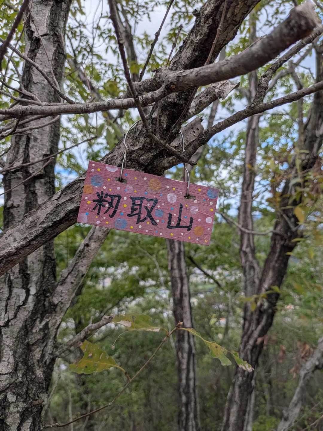 なんて読む？？？