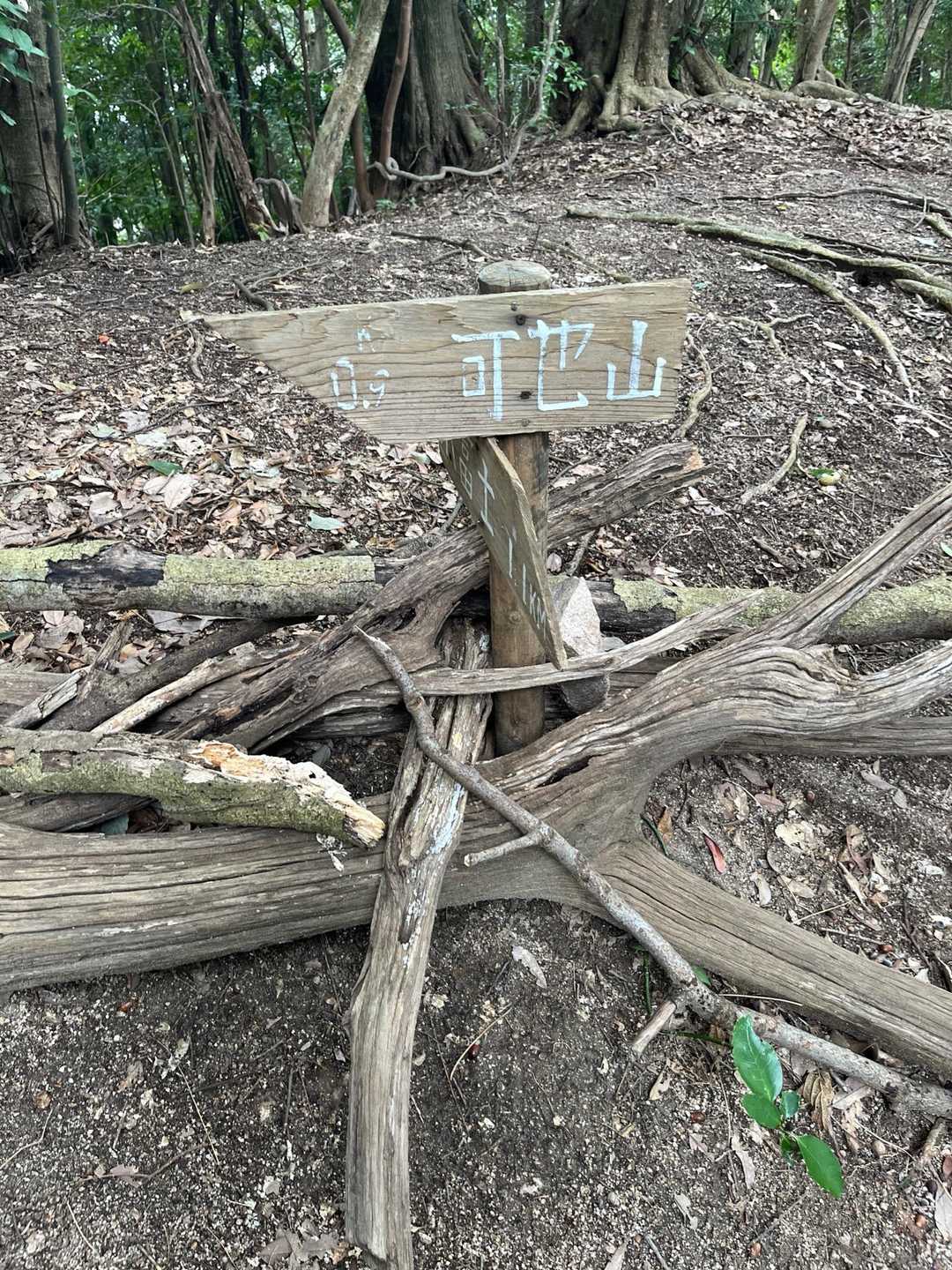 可也山 縦走コースの写真