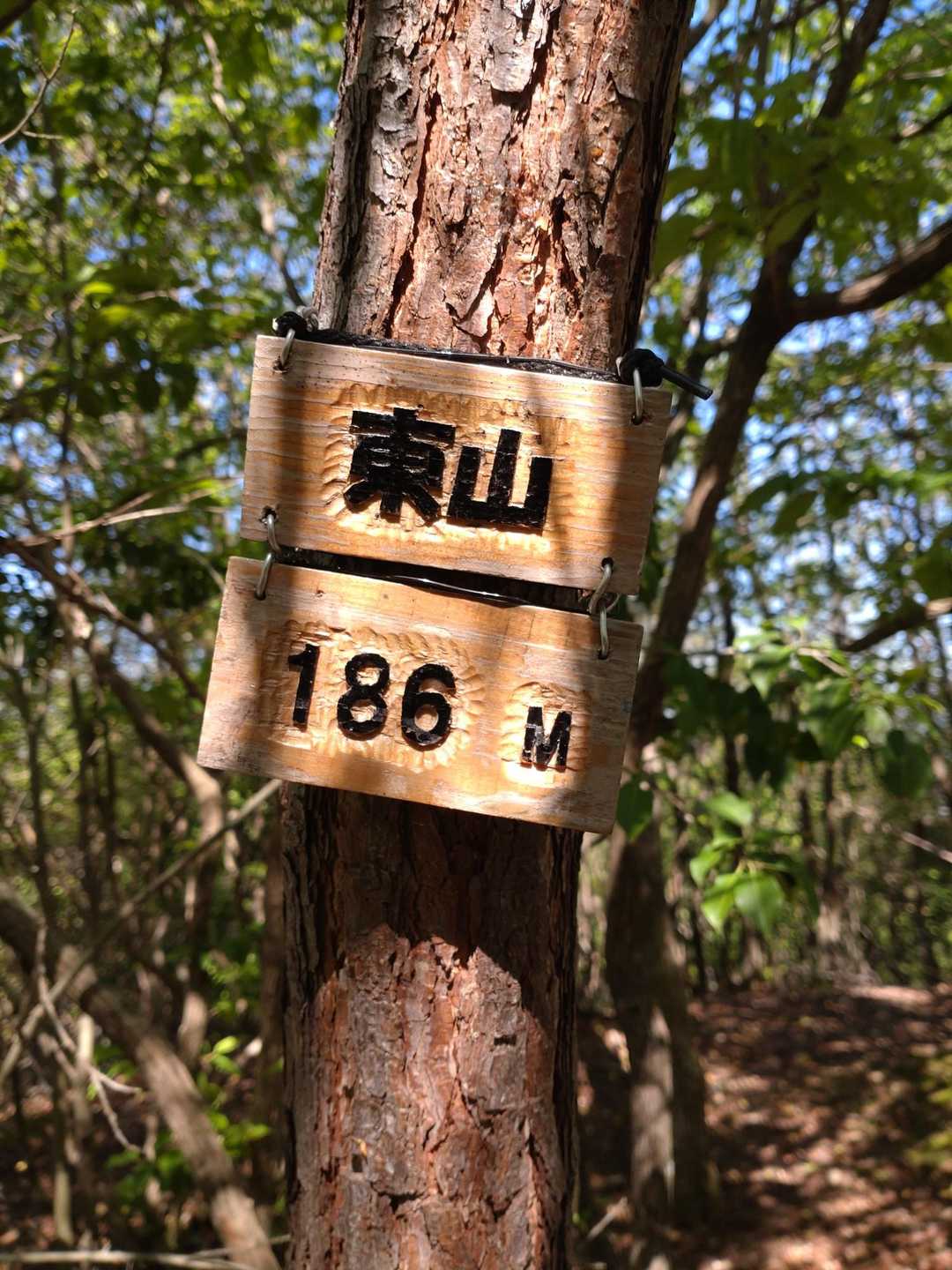 東山（186㍍）🚩