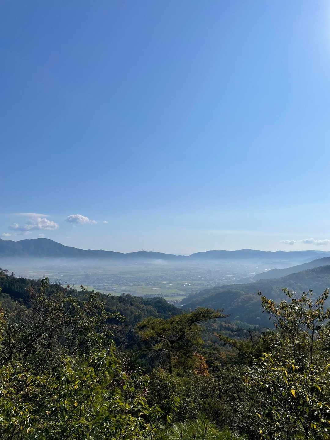 城山 往復コースの写真
