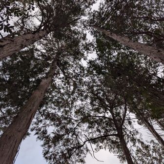 頂上より空を仰ぐ