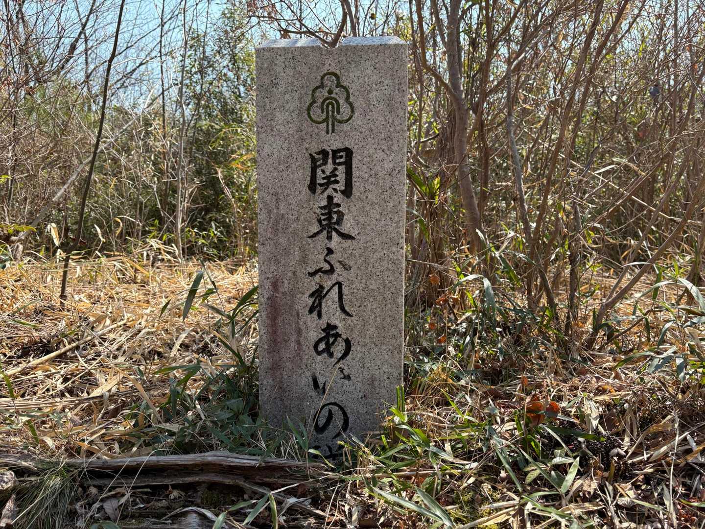 なるほど🧐