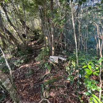 標高700m
万代杉から次のモッチョム太郎杉までバラエティに富んだコースで面白いです