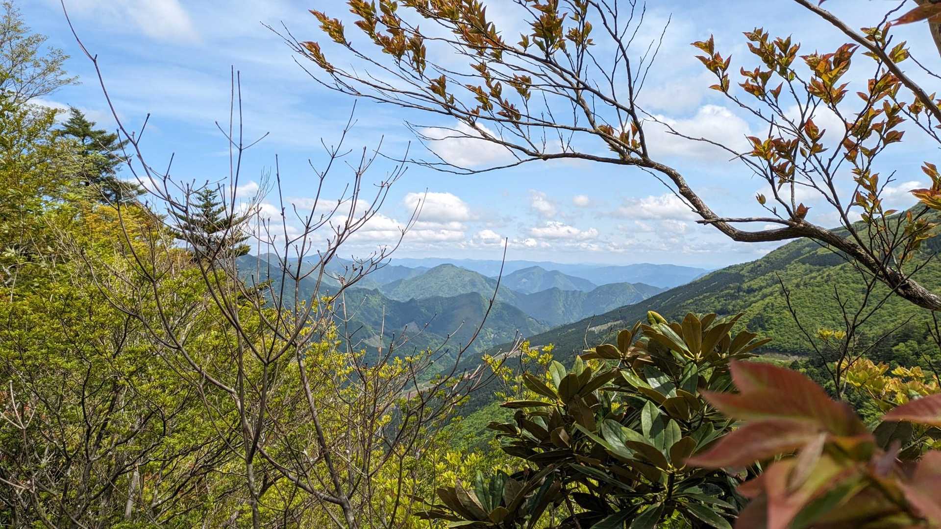 あまり展望のないお山でしたが、少し景色もみられて、素直に歩けば良かったと😆💦