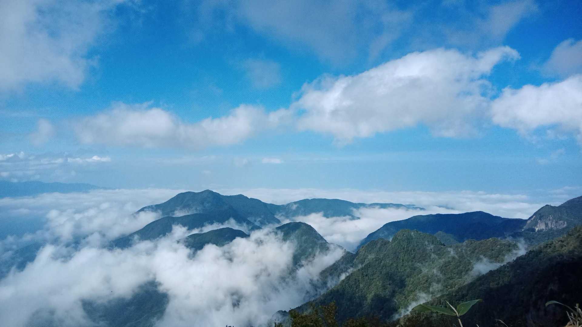 保井野登山口-堂ヶ森-鞍瀬ノ頭 往復コースの写真