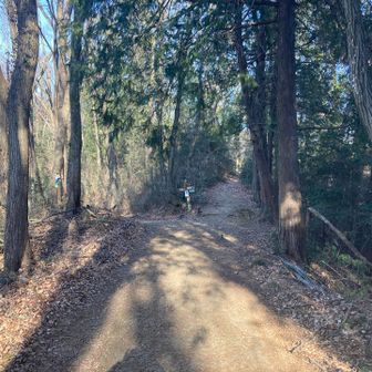 ここで、きんちゃく田方面と岐れる。